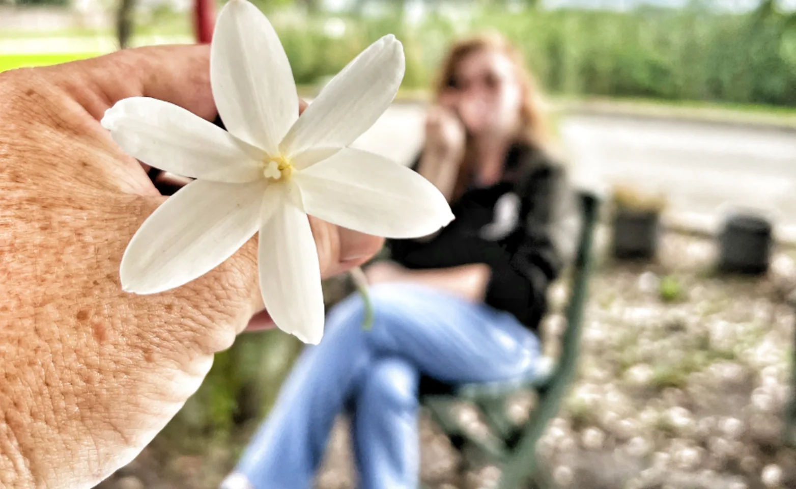 Person Holding a Flower Close up with Blurry background
